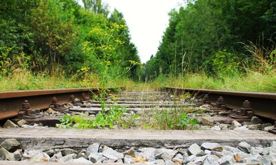 (Symbolfoto) Gleise, die vorhanden aber teilweise von Grün überwuchert sind, führen durch einen Wald. Foto: Wolfgang Dirscherl, pixelio.de