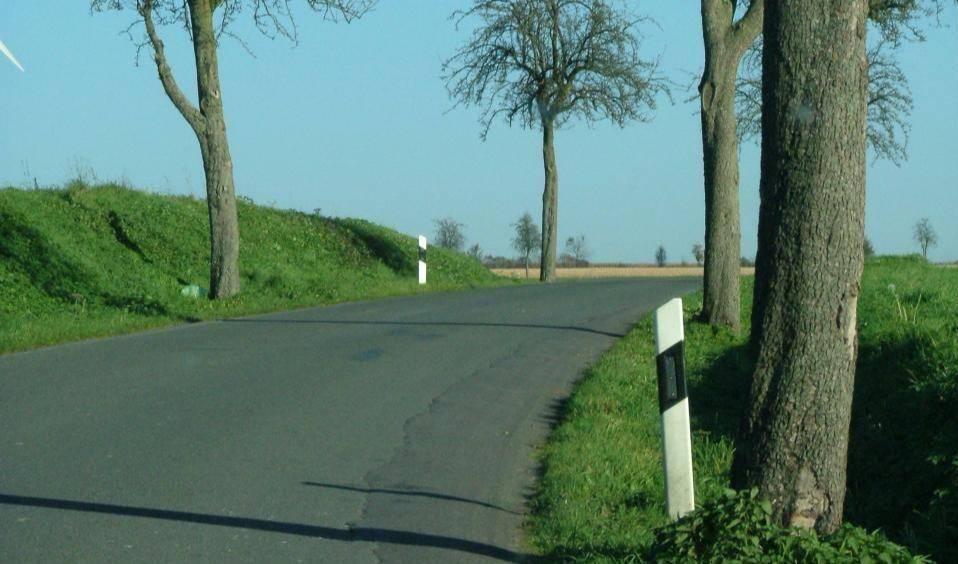 Landstraße mit Bäumen am Straßenrand und Leitpfosten bei klarem Himmel